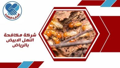 شركة مكافحة النمل الابيض بالرياض