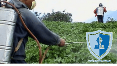 ارخص شركة رش مبيدات بالرياض