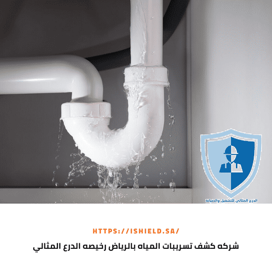 شركة كشف تسربات المياه بالرياض رخيصة 