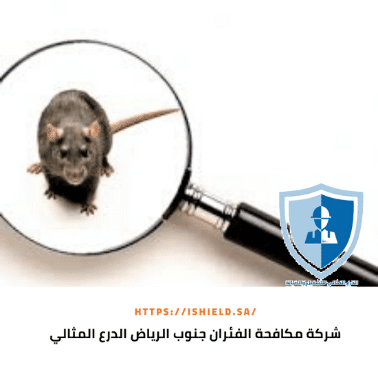 شركة مكافحة الفئران جنوب الرياض
