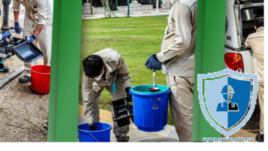 شركة مكافحة حشرات بالرياض 