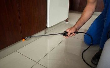 شركة رش مبيدات بالقصيم