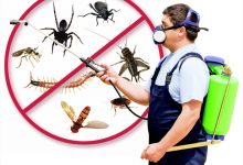 شركة رش مبيدات بجدة