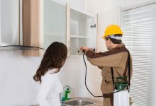 شركة مكافحة حشرات بالقصيم