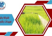 شركة رش مبيدات بالجبيل،