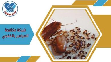 شركة مكافحة الصراصير بالخفجي