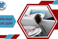 شركة مكافحة الفئران بالجبيل
