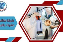 شركة مكافحة حشرات بالجبيل