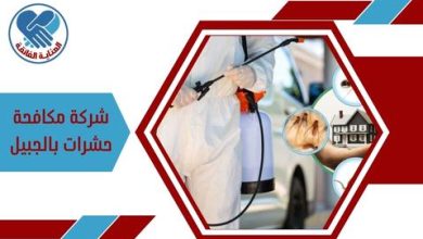 شركة مكافحة حشرات بالجبيل