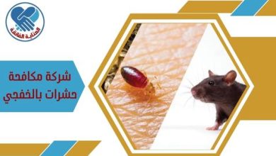شركة مكافحة الحشرات بالخفجي