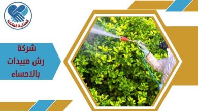 شركة رش مبيدات بالاحساء