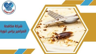 شركة مكافحة الصراصير براس تنورة