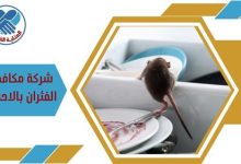شركة مكافحة الفئران بالاحساء