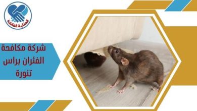 شركة مكافحة الفئران براس تنورة