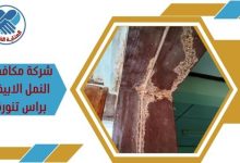 شركة مكافحة النمل الابيض براس تنورة