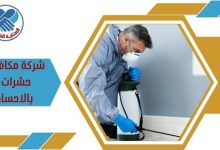 شركة مكافحة حشرات بالاحساء
