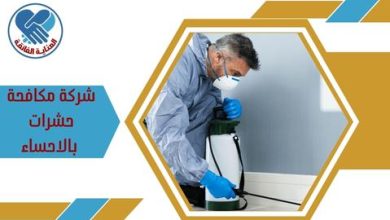 شركة مكافحة حشرات بالاحساء