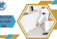 شركة مكافحة حشرات برأس تنورة