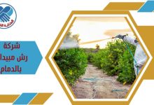 شركة رش مبيدات بالدمام
