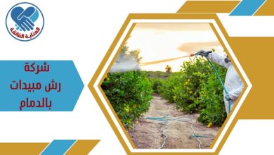 شركة رش مبيدات بالدمام