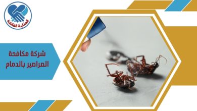 شركة مكافحة الصراصير بالدمام