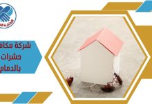 شركة مكافحة حشرات بالدمام