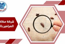 شركة مكافحة الصراصير بالخبر