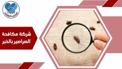 شركة مكافحة الصراصير بالخبر