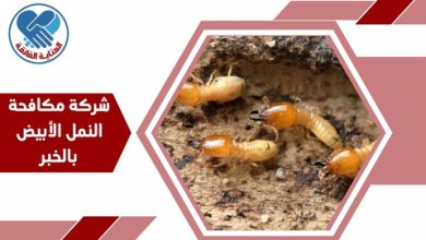 شركة مكافحة النمل الأبيض بالخبر