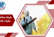 شركة مكافحة حشرات بالخبر