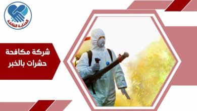 شركة مكافحة حشرات بالخبر