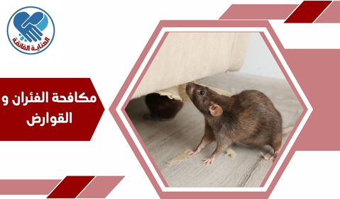 مكافحة الفئران و القوارض