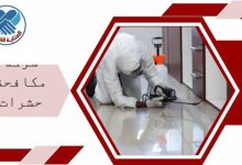 شركة مكافحة حشرات بالقطيف