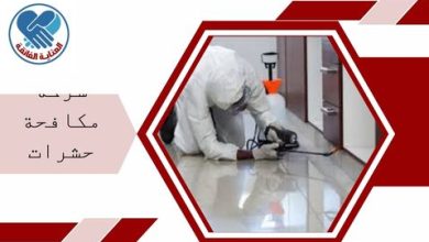 شركة مكافحة حشرات بالقطيف