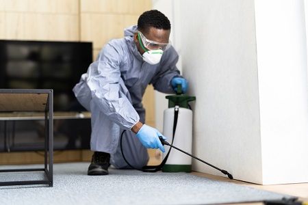 شركة تنظيف الصراصير بالدمام