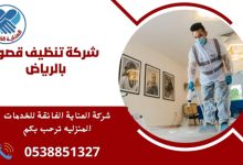 شركة تنظيف قصور بالرياض