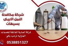 شركة مكافحة النمل الابيض بسيهات