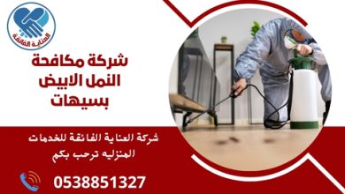 شركة مكافحة النمل الابيض بسيهات